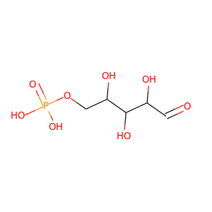 Ribose 5-phosphate